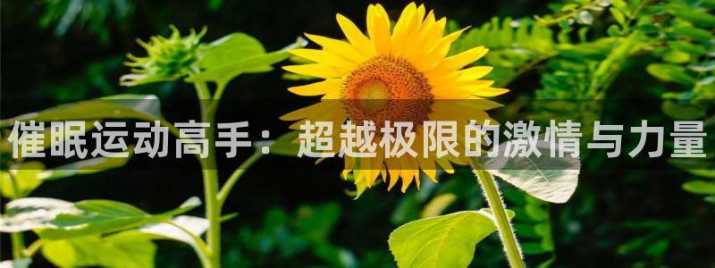 公海赌赌船官网下载平台是正规平台吗安全吗：催眠运动高