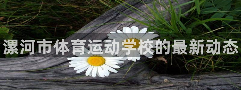注册公海赌赌船官方正版app：漯河市体育运动学校的最