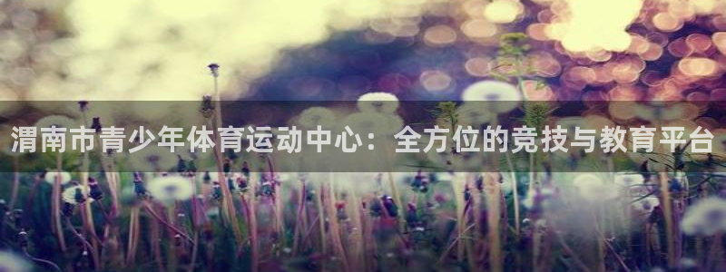 德国公海赌赌船官方正版app集团：渭南市青少年体育运