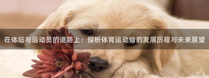 公海赌赌船官网下载招商电话号码：在体坛与运动员的道路上：探析
