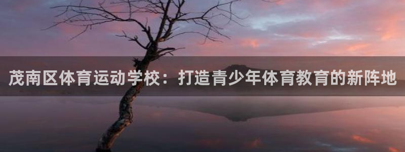 公海赌赌船官方正版app集团简介：茂南区体育运动学校