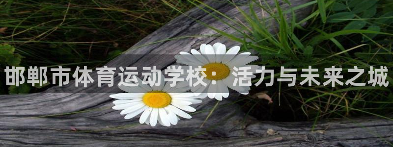 公海赌赌船官网下载招商电话号码查询：邯郸市体育运动学