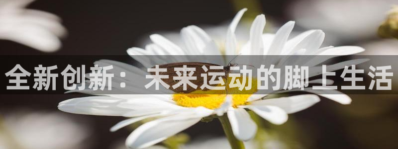 公海赌赌船官网下载招商电话地址：全新创新：未来运动的