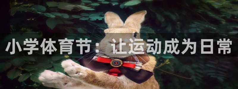 公海赌赌船官网下载招商电话号码是多少：小学体育节：让