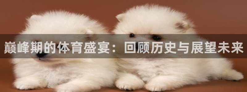 公海赌赌船官方正版app集团官网网址：巅峰期的体育盛宴：回顾