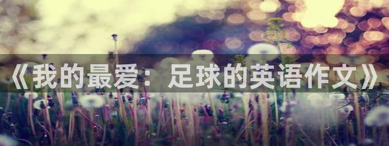 公海赌赌船官网下载招商电话地址：《我的最爱：足球的英