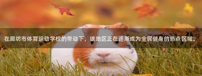 公海赌赌船官方正版app官方：在廊坊市体育运动学校的带动下，