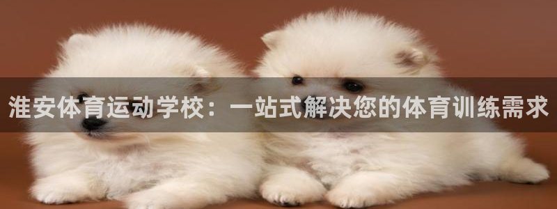公海赌赌船官网下载：淮安体育运动学校：一站式解决您的体育训练