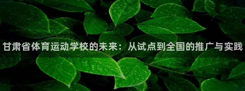 公海赌赌船官方集团官网：甘肃省体育运动学校的未来：从