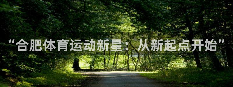 公海赌赌船官方正版app集团E.ON：“合肥体育运动