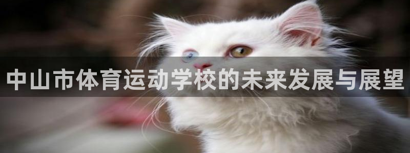 公海赌赌船官方正版app娱乐代理怎么样：中山市体育运