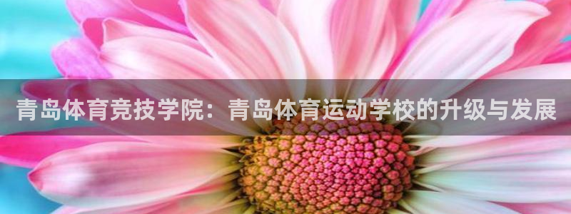 海南公海赌赌船官网下载：青岛体育竞技学院：青岛体育运