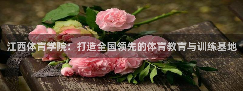 公海赌赌船官网下载平台假的吗是真的吗：江西体育学院：