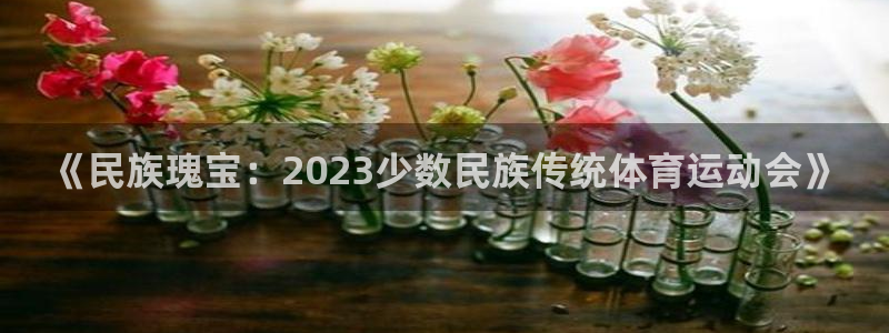 公海赌赌船官网下载：《民族瑰宝：2023少数民族传统
