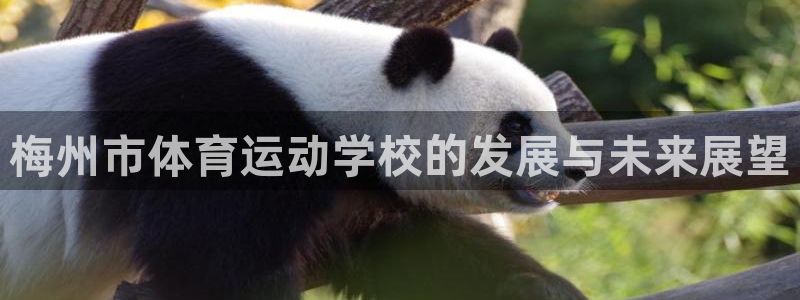 公海赌赌船官网下载招商电话号码查询是多少：梅州市体育运动学校