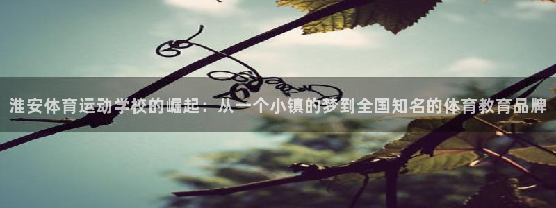 公海赌赌船官网下载开户：淮安体育运动学校的崛起：从一