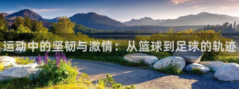 注册公海赌赌船官方正版app：运动中的坚韧与激情：从