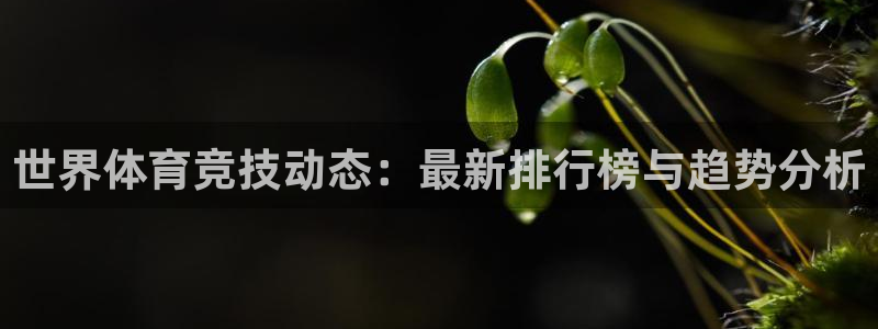 公海赌赌船官方正版app娱乐网站：世界体育竞技动态：最新排行