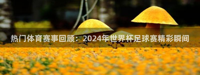 公海赌赌船官网下载平台注册要钱吗：热门体育赛事回顾：2024